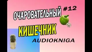 ОЧАРОВАТЕЛЬНЫЙ КИШЕЧНИК ЗАПОРЫ. ГАЗЫ КИШЕЧНИКА ч.12