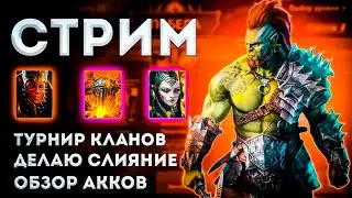 Турнир Кланов | Обзоры Акков | Делаю Слияние | Raid: Shadow Legends | Элви