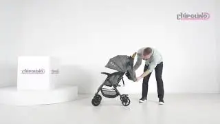 Carucior sport Chipolino April