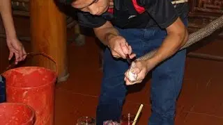 Vietnam, Hanoi - snake restaurant