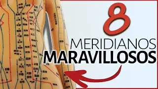 ☯ 8 MERIDIANOS MARAVILLOSOS o EXTRAORDINARIOS de la ACUPUNTURA ☯ Qué son y Cuál es su Función