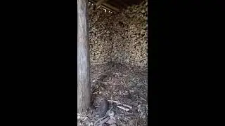 ПЕРВЫЙ ДЕРЕВЕНСКИЙ в прямом эфире!