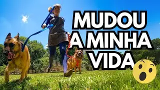 COMO O PASTOR ALEMÃO MUDOU MINHA VIDA NA CIDADE