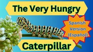 The Very Hungry Caterpillar by Eric Carle (Español)| Spanish Read Aloud | @happybimbi