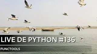 Live de Python 