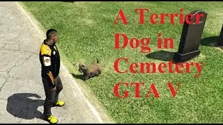 Found A Terrier Dog in Cemetery - Grand Theft Auto V