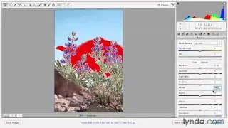 Toggling onscreen shadow and highlight clipping warnings - Adobe Photoshop Essential