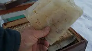 Наиболее правильная зимовка пчёл на глухом дне.