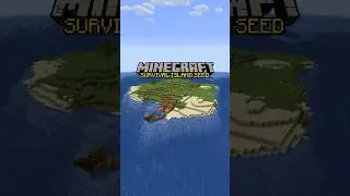 BEST Minecraft Survival Island Seed