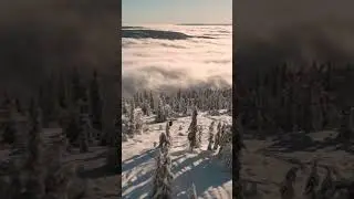 🌤️