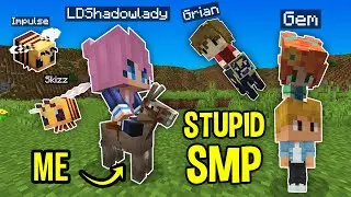 We Started the Stupidest SMP