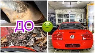 Бесплатно и [ мощно ] помыли Ford Shelby!