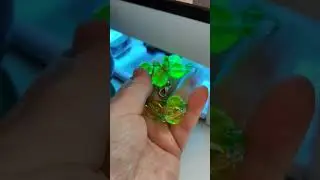 20 мая 2024 г.