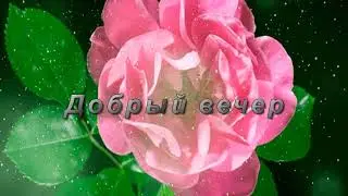 Добрый вечер