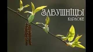 ПЕСНЯРЫ – «Завушніцы» караоке | PIEŚNIARY – «Zavušnicy» | «The Earrings» Belarusian Karaoke