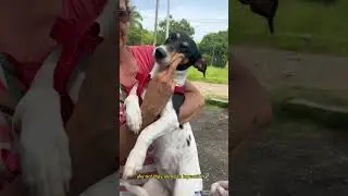 Jornada de Esterilización gratuita Alcaldía de Bucaramanga ❤️