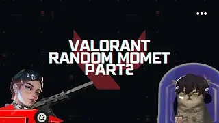 VALORANT RANDOM MOMENT part2