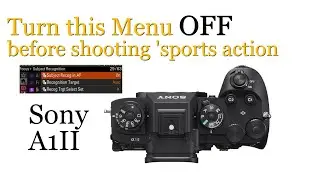 Sony A1II: Turn OFF this AF Auto Feature or it will Mess with your sports photos