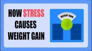 How Stress can cause Weight Gain + Ways you can Prevent it.