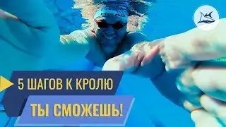 Как научиться плавать кролем правильно? 5 простых шагов