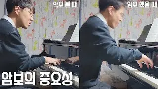 당신이 암보를 해야하는 이유