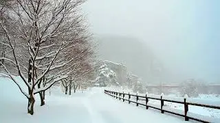 日本の冬 - Japanese Winter