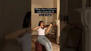CHEAP vs EXPENSIVE VIOLIN...