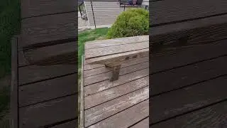 I "karate kidded" my deck. Check out the before and after. #deck #woodworking #bench #diy #stain