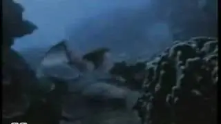 Μανώλης Λιδάκης_ θάλασσά μου