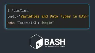 Bash Scripting Basics: Variables and Data Types | BASH Scripting Tutorial - 3