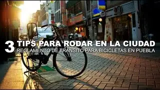 3 Tips para rodar en la cuidad | Reglamento de transito para bicicletas