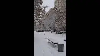 С новым 2023 годом!