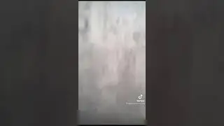 Едим Крым и тут такое