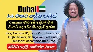 ඩුබායි රස්සාවක් කරද්දි ඔයාට ලැබෙන දේවල් Visa, Emirates ID, Insurance, Flight Tickets