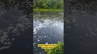 Рыбалка на паук Подъёмник на реке #fishing #рыбалка #shortvideo #shorts