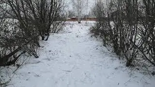 Как выбрать место. Для ловли птиц.