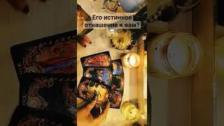 #таро #информация #гадание #tarot