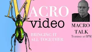 MacroVideo wrap up - Macro Talk #83 -  A. Walls Photography, Feb 20  2024