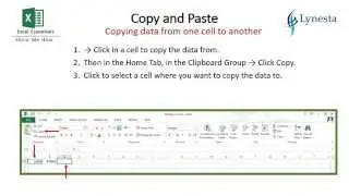 Excel Cut, Copy and Paste learn 3 different ways.
