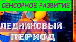 Раннее развитие. Сенсорное развитие. Ледниковый период.
