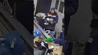 😭Мужчина спас кота из мусорки💔Что за люди?!