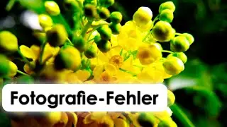 Meine größten Fehler als Fotograf!