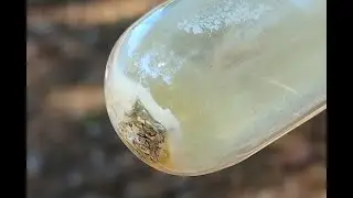 Tantalum Pentachloride From The Metal & The Pentoxide 