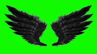 NO COPYRIGHT Green Screen - 13 SETS OF WINGS!