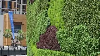 Dubai Wharf – Our Green Wall