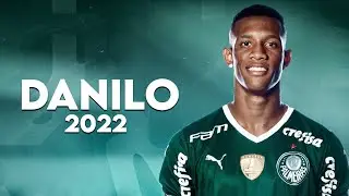 Danilo 2022 ● Palmeiras | Gols, Dribles & Desarmes | HD