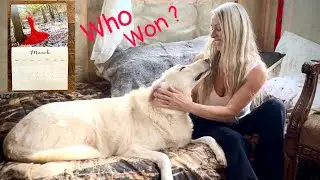 Luck of the Draw