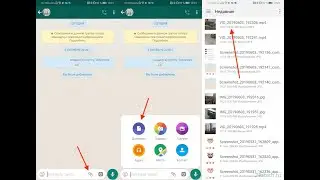 как отправить по ватцапу длинное видео в 2022 году #pallasovskystreamer #ватцап #shtors #гайд