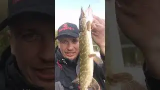 Теперь можно и домой 🥳💪 #fish #shorts #emotional #tiktok #like #live #life #short #fishing #fish