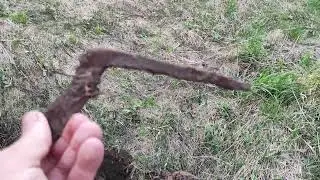 #ribak #metall #klad  вышли на новое место 🚩  находки топ! металлоискатель